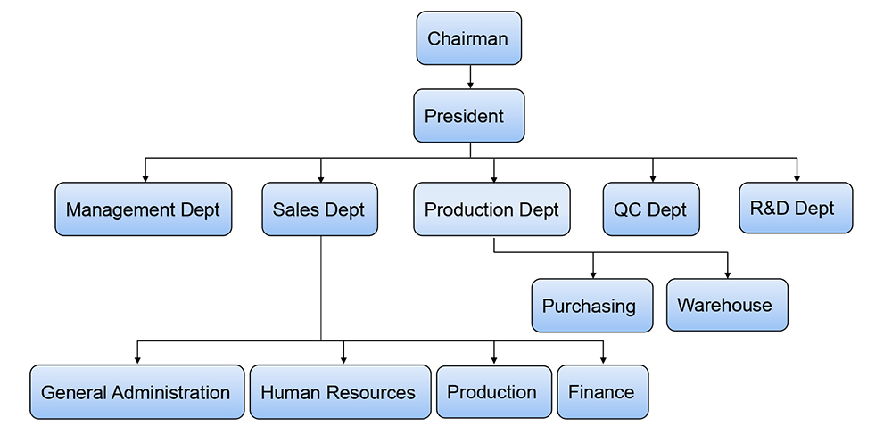 Company Organization